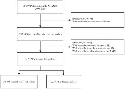Dietary choline intake and colorectal cancer: a cross-sectional study of 2005–2018 NHANES cycles